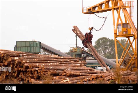 timber processing plant crossword clue|TIMBER PROCESSING SITE .